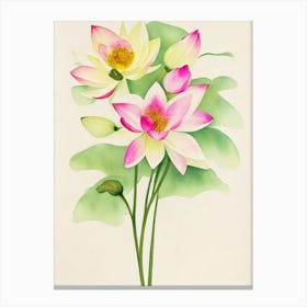 Lotus Vintage Flowers Flower Canvas Print