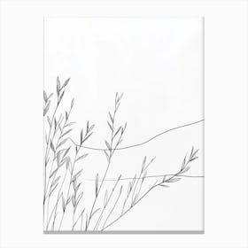 Line Drawing Of A Leaf 12 Canvas Print