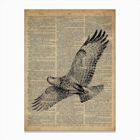 Eagle Bird Canvas Print