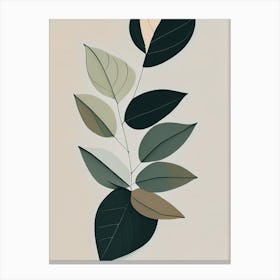 Bay Leaves Herb Simplicity Canvas Print