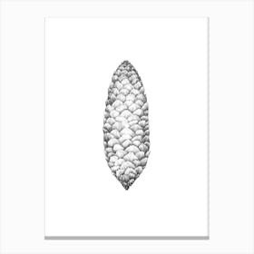 Spruce cone No 87 by Aga Szafranska Canvas Print