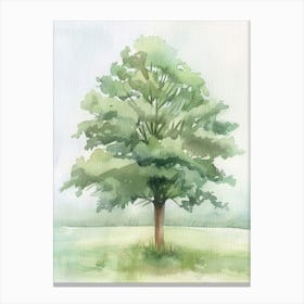 Chestnut Tree Atmospheric Watercolour Painting 8 Canvas Print