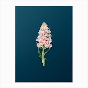 Vintage Leafy Spiked Orchis Flower Botanical Art on Teal Blue n.0924 Canvas Print