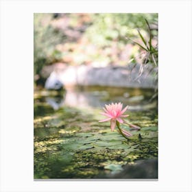 Water Lily In A Pond Canvas Print