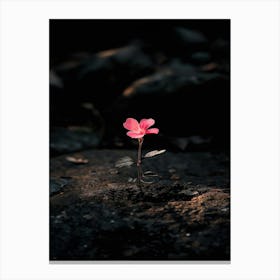 Flower In The Dark 91 Canvas Print