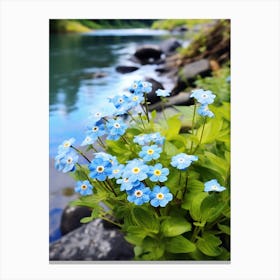 Forget Me Not At The River Bank (1) Canvas Print