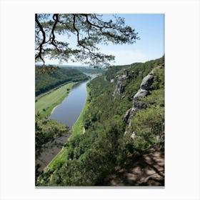 Trees, sandstone rocks and the Elbe valley Canvas Print