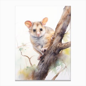 Light Watercolor Painting Of A Common Brushtail Possum 3 Canvas Print