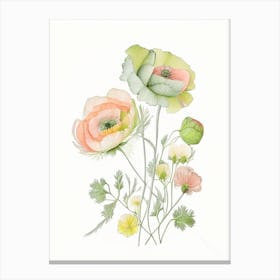 Ranunculus Floral Quentin Blake Inspired Illustration 3 Flower Canvas Print