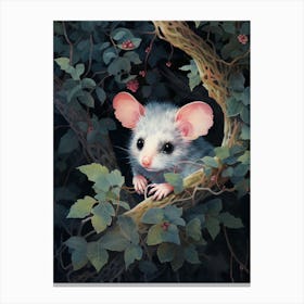 Adorable Chubby Nocturnal Possum 1 Canvas Print