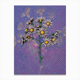 Vintage Lilac Senecio Flower Botanical Illustration on Veri Peri n.0075 Canvas Print