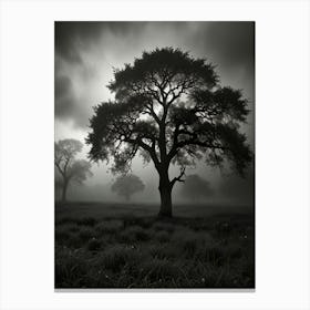 Tree In The Fog Canvas Print