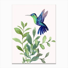 Hummingbird Watercolor Painting Canvas Print