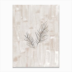 Neutral fir branches Canvas Print