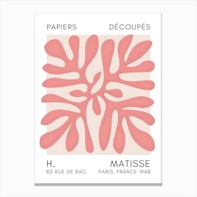 Matisse 36 Canvas Print