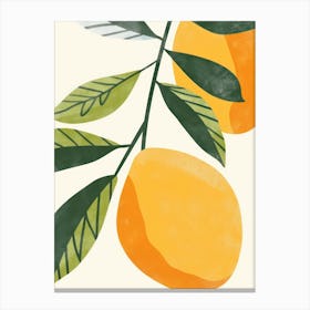 Mango Close Up Illustration 2 Canvas Print