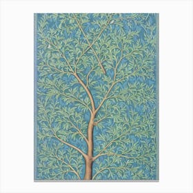 Maidenhair Tree tree Vintage Botanical Canvas Print