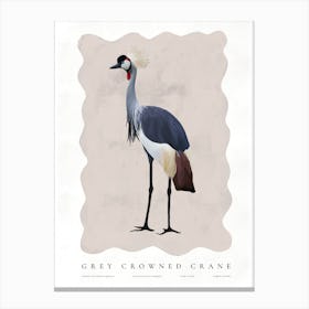 Grey Crowned Crane Canvas Print