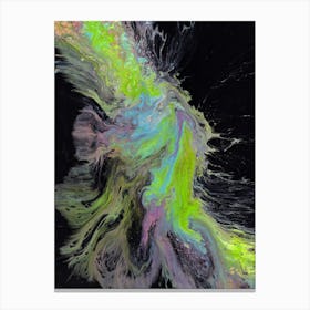 An Explosion of Colour Canvas Print