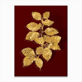 Vintage European Beech Botanical in Gold on Red n.0404 Canvas Print