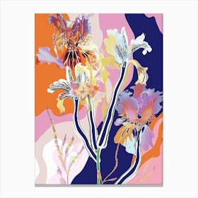 Colourful Flower Illustration Cineraria 4 Canvas Print