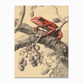 Red Tree Frog Vintage Botanical 2 Canvas Print