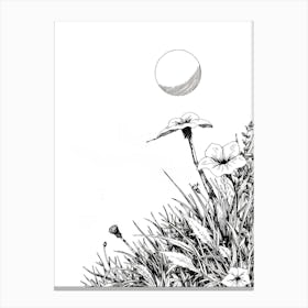 Moon In The Grass Canvas Print