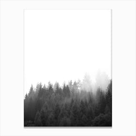 Walk Through The Forest Canvas Print