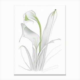 Zantedeschia Floral Quentin Blake Inspired Illustration 3 Flower Canvas Print