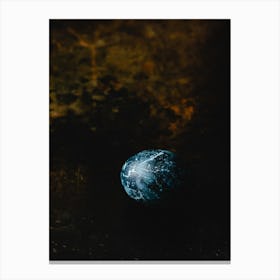 Blue Marble Egg Canvas Print