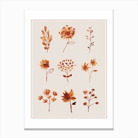 Brown Watercolor Floral Canvas Print