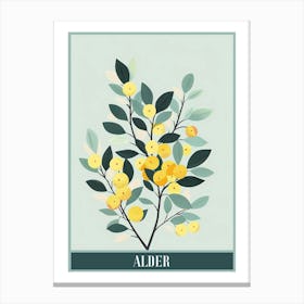 Alder Tree Flat Illustration 4 Poster Canvas Print