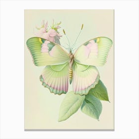 Brimstone Butterfly Vintage Pastel 2 Canvas Print