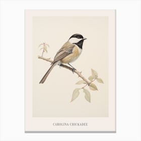 Vintage Bird Drawing Carolina Chickadee 2 Poster Canvas Print