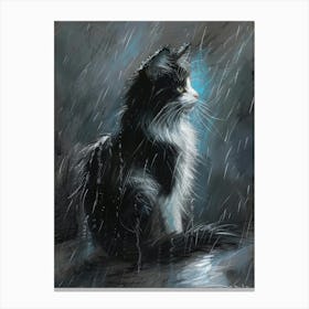 Cat In The Rain 2 Canvas Print