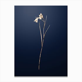 Gold Botanical Blue Pipe on Midnight Navy n.4600 Canvas Print