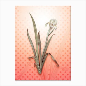 Crimean Iris Vintage Botanical in Peach Fuzz Polka Dot Pattern n.0165 Canvas Print