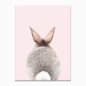 Bunny Tale Blush Canvas Print