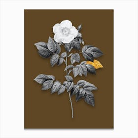 Vintage Leschenaults Rose Black and White Gold Leaf Floral Art on Coffee Brown n.0345 Canvas Print