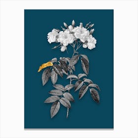 Vintage Musk Rose Black and White Gold Leaf Floral Art on Teal Blue n.0347 Canvas Print