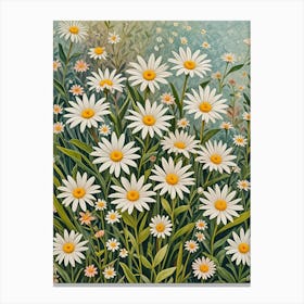 White Daisies no2 Canvas Print