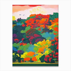 Yala National Park Sri Lanka Abstract Colourful Canvas Print