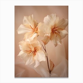 Boho Dried Flowers Amaryllis 1 Canvas Print