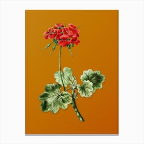 Vintage Scarlet Geranium Botanical on Sunset Orange n.0888 Canvas Print