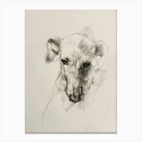 Dog Minimalist Line Charcoal Portrait Canvas Print