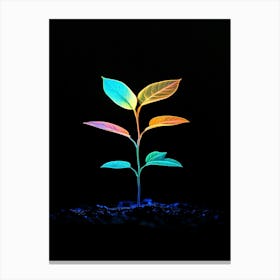 Small Green Plant 1 Canvas Print