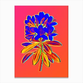 Neon Common Rhododendron Botanical in Hot Pink and Electric Blue n.0362 Canvas Print