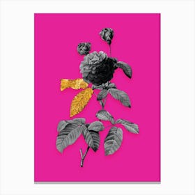 Vintage Agatha Rose in Bloom Black and White Gold Leaf Floral Art on Hot Pink n.0927 Canvas Print