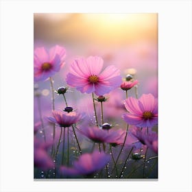 Cosmos Wildflower At Dawn In South Western Style (3) Canvas Print