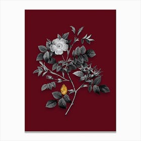 Vintage Malmedy Rose Black and White Gold Leaf Floral Art on Burgundy Red n.1055 Canvas Print